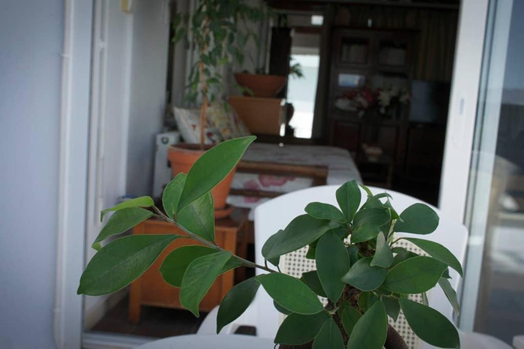 Stavros Amazing Apartment In The Centre Of Kos Екстериор снимка